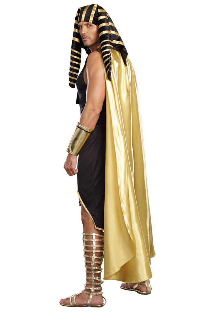 D9893_Costume_Back__58660.jpg