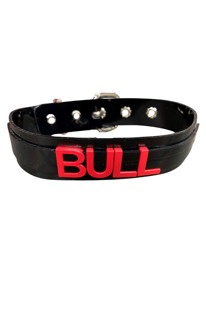 FC891-BULL__82370.png