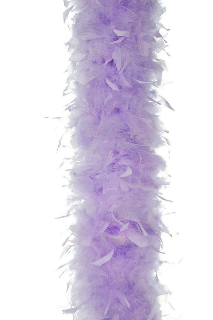 LA101-Feather-Boa-h__27333.jpg