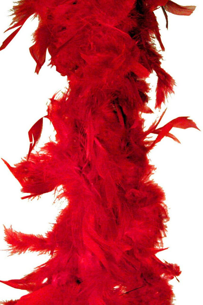 LA101-Feather-Boa-l__54924.jpg