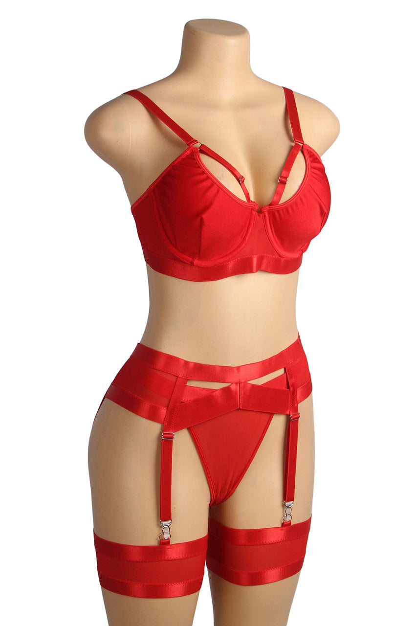 Bondage Bra and Garterbelt Set Bondage Bra and Garterbelt Set